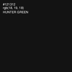 #121312 - Hunter Green Color Image